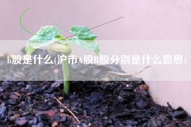 b股是什么(沪市A股B股分别是什么意思)
