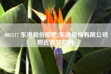 002117 东港股份股吧(东港股份有限公司附近有学校吗)