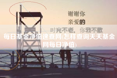 每日基金净值速查网(怎样查询天天基金网每日净值)