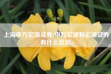 上海申万宏源证券(申万宏源和宏源证券有什么区别)