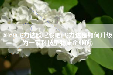 300240飞力达股吧股吧(飞力达是如何升级为一家科技型物流企业的)
