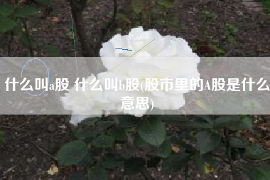 什么叫a股 什么叫b股(股市里的A股是什么意思)