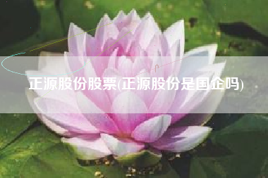 正源股份股票(正源股份是国企吗)