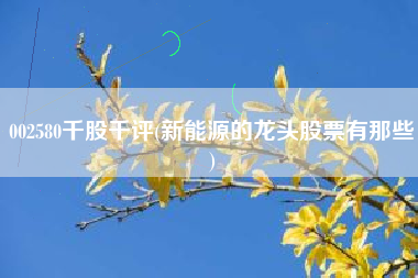 002580千股千评(新能源的龙头股票有那些)