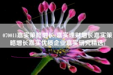 070011嘉实策略增长(嘉实理财增长嘉实策略增长嘉实优质企业嘉实研究精选)