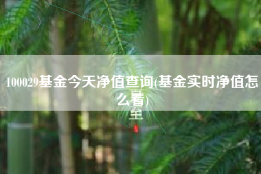 100029基金今天净值查询(基金实时净值怎么看)