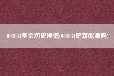 003834基金历史净值(003834是新能源吗)