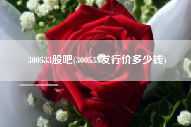 300533股吧(300533发行价多少钱)