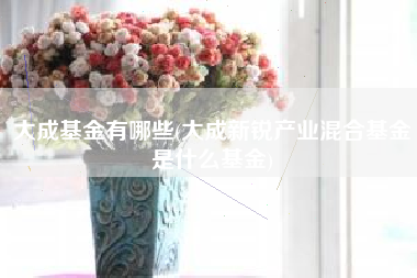 大成基金有哪些(大成新锐产业混合基金是什么基金)