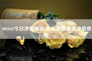 001042今日净值查询(怎么查看基金净值查询)