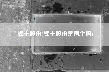 辉丰股份(辉丰股份是国企吗)