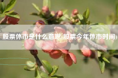 股票休市是什么意思(股票今年休市时间)