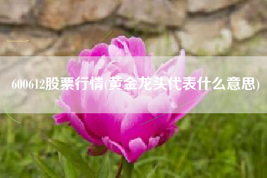 600612股票行情(黄金龙头代表什么意思)