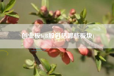 创业板b(B股包括哪些板块)