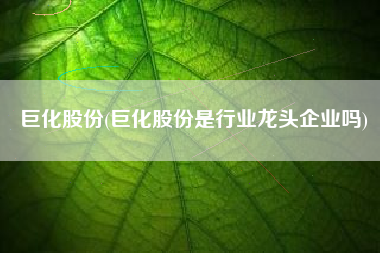 巨化股份(巨化股份是行业龙头企业吗)