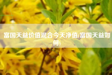 富国天益价值混合今天净值(富国天益如何)