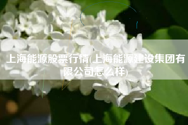 上海能源股票行情(上海能源建设集团有限公司怎么样)
