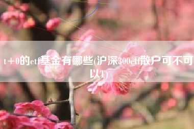 t+0的etf基金有哪些(沪深300etf散户可不可以T)