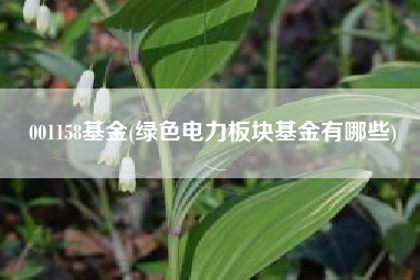 001158基金(绿色电力板块基金有哪些)