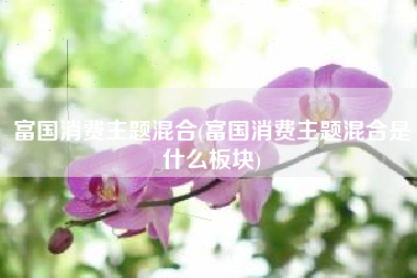 富国消费主题混合(富国消费主题混合是什么板块)