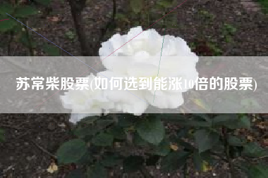 苏常柴股票(如何选到能涨10倍的股票)