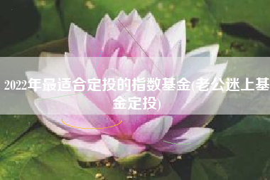 2022年最适合定投的指数基金(老公迷上基金定投)