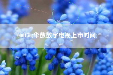 000156(华数数字电视上市时间)