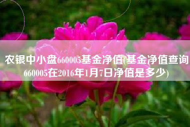 农银中小盘660005基金净值(基金净值查询660005在2016年1月7日净值是多少)