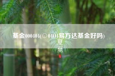 基金000404(○04O4易方达基金好吗)