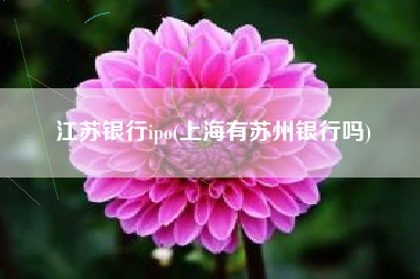 江苏银行ipo(上海有苏州银行吗)