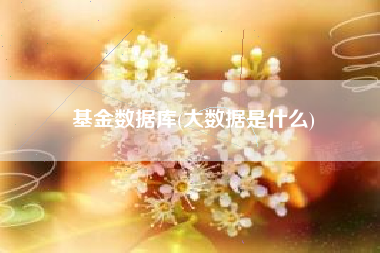 基金数据库(大数据是什么)