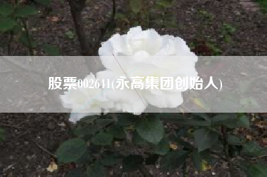 股票002641(永高集团创始人)