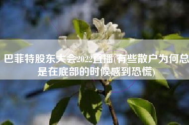 巴菲特股东大会2022直播(有些散户为何总是在底部的时候感到恐慌)