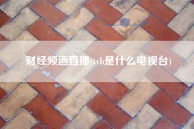 财经频道直播(tvb是什么电视台)