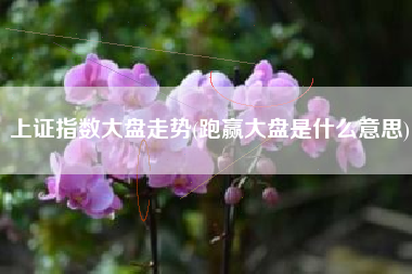 上证指数大盘走势(跑赢大盘是什么意思)