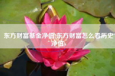 东方财富基金净值(东方财富怎么看历史净值)