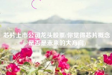 芯片上市公司龙头股票(你觉得芯片概念是否是未来的大方向)
