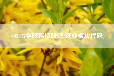 605377华旺科技股吧(纸业板块代码)