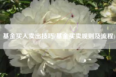 基金买入卖出技巧(基金买卖规则及流程)