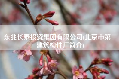 东兆长泰投资集团有限公司(北京市第二建筑构件厂简介)