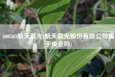 600501航天晨光(航天晨光股份有限公司属于央企吗)