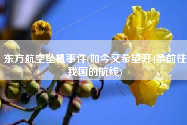 东方航空坠机事件(如今又希望开4条前往我国的航线)