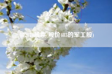 002174股票(股价483的军工股)