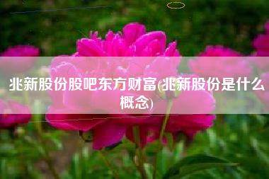 兆新股份股吧东方财富(兆新股份是什么概念)