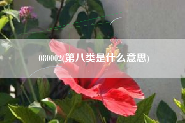 080002(第八类是什么意思)