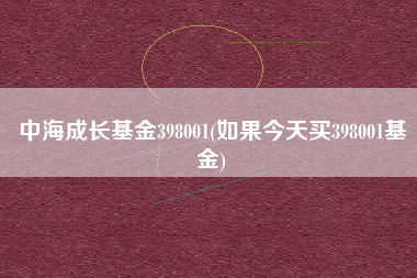 中海成长基金398001(如果今天买398001基金)