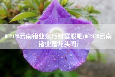 002428云南锗业东方财富股吧(002428云南锗业是龙头吗)