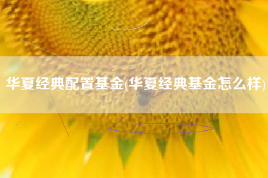 华夏经典配置基金(华夏经典基金怎么样)