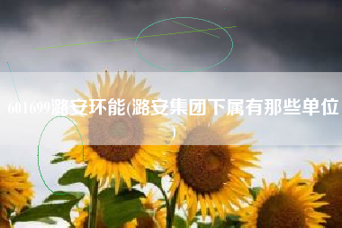 601699潞安环能(潞安集团下属有那些单位)
