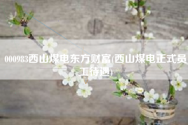 000983西山煤电东方财富(西山煤电正式员工待遇)